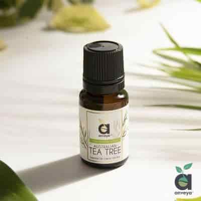 Buy Tea Aroma Australian Tea Tree Essential Oil 100% Natural & Pure