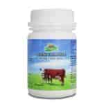 Buy Dr. Patkars Bovine Colostrum