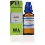 Buy SBL Trifolium Pratense - 30 ml